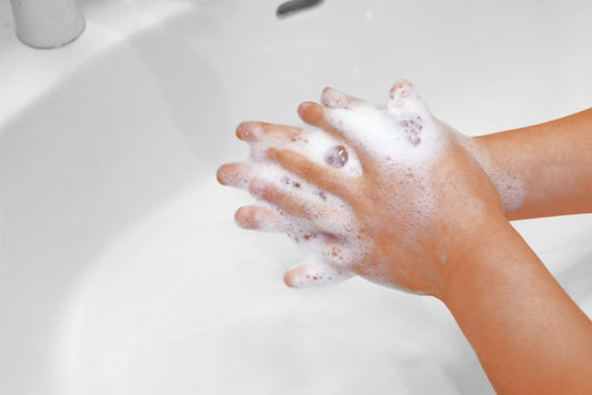 天然馬油泡石けん(レフィル) 500ml