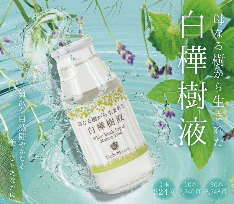 母なる樹から生まれた白樺樹液　北海道美深町仁宇布産　100％！