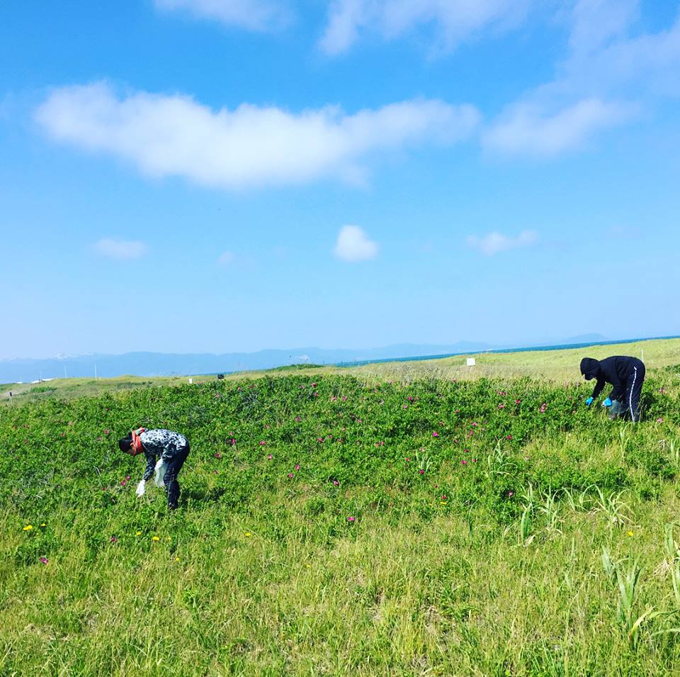 ハマナス白樺樹液美容液