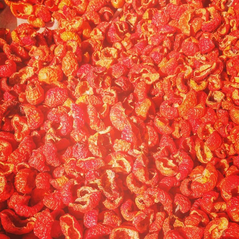 ハマナス白樺樹液美容液